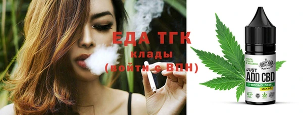 хмурый Магас