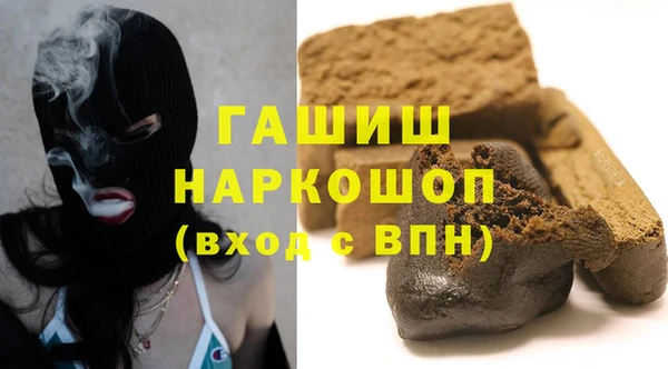 хмурый Магас