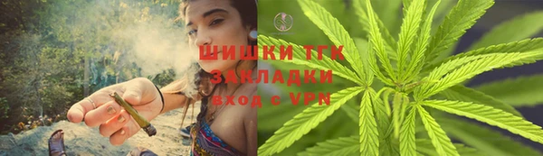 хмурый Магас