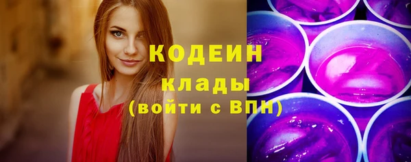 хмурый Магас