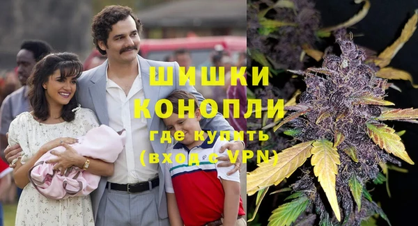 хмурый Магас