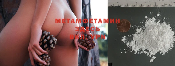хмурый Магас
