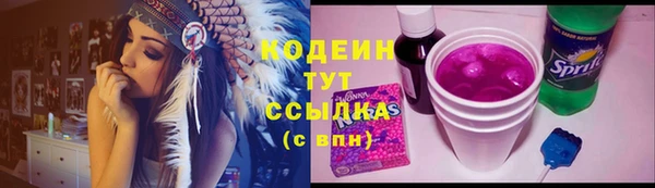 хмурый Магас