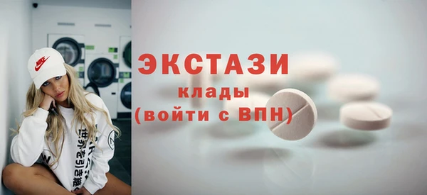 хмурый Магас
