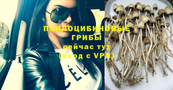 дживик Магадан