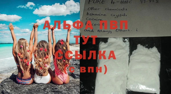 хмурый Магас