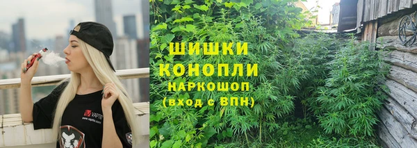 хмурый Магас