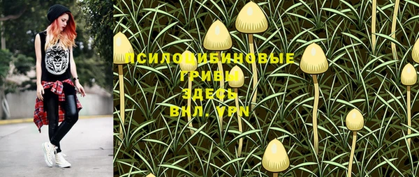 spice Майский