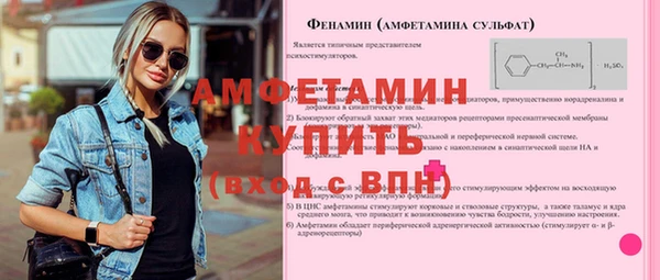 хмурый Магас