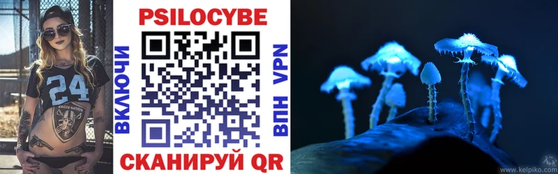 Купить где  Иланский  Галлюциногенные грибы Psilocybine cubensis 