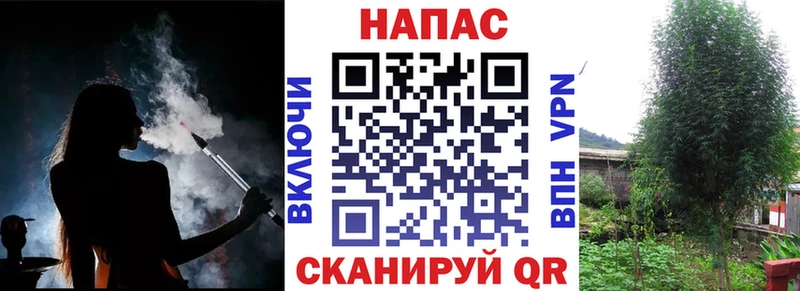 Купить  Иланский  Шишки марихуана OG Kush 